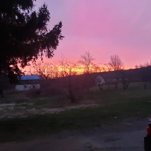 20240322_071348.jpg