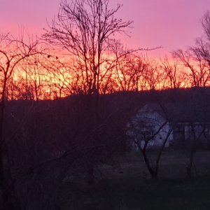 20240322_071353.jpg