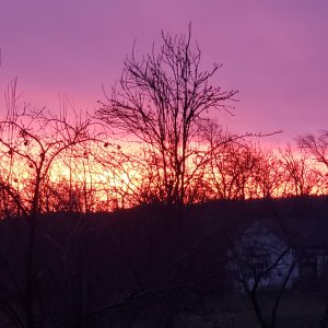 20240322_071355.jpg