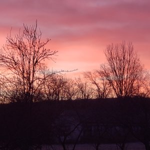 20240330_065112.jpg