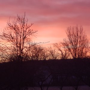 20240330_065116.jpg