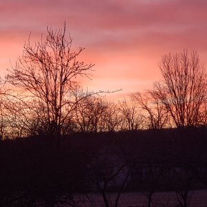 20240330_065119.jpg