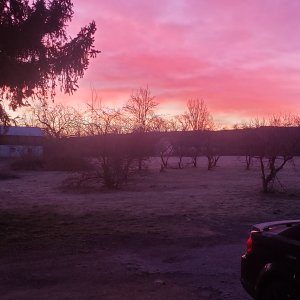 20240330_065128.jpg