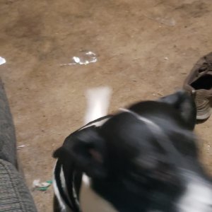 20240403_192811.jpg