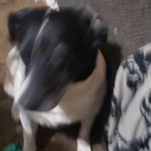 20240403_193016.jpg