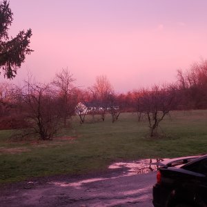 20240403_194316.jpg