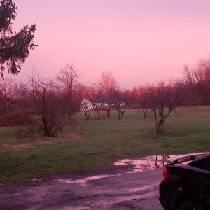 20240403_194317.jpg
