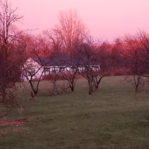 20240403_194336.jpg