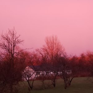 20240403_194340.jpg