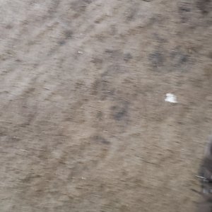 20240529_194042.jpg