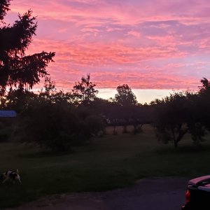 20240616_052942.jpg