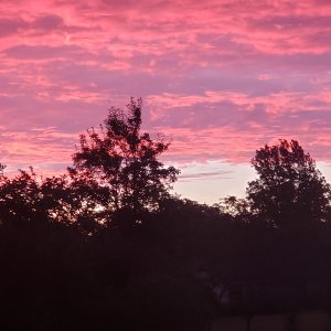 20240616_052948.jpg