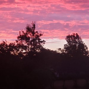 20240616_052952.jpg