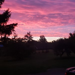 20240616_052959.jpg