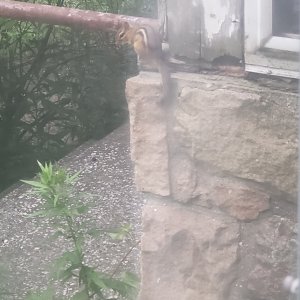 20240628_191440.jpg