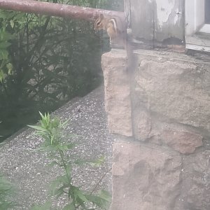 20240628_191444.jpg