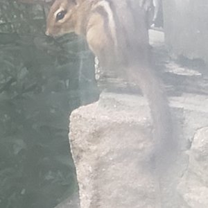 20240628_191453.jpg