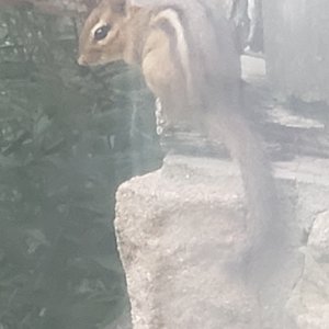 20240628_191454.jpg