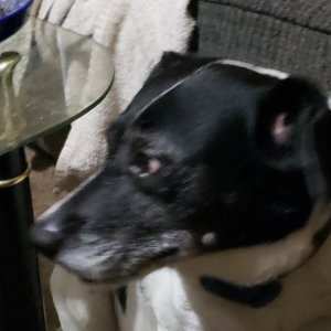 20240713_212449.jpg